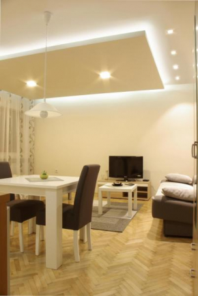  Square Studio Apartment  Ниш